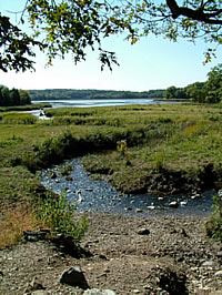 Bare Cove Park